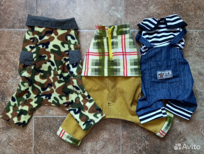 Одежда для собак