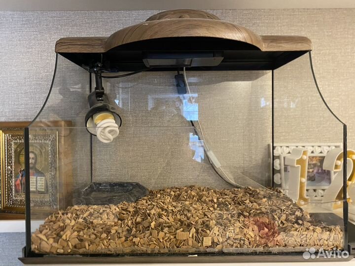 Террариум для сухопутной черепахи