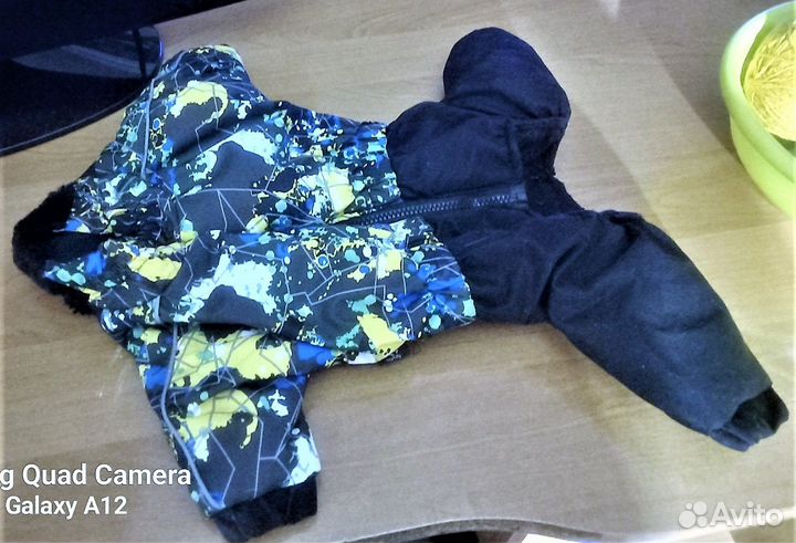 Одежда для собак