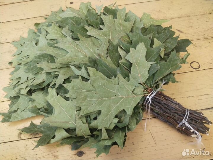 Веники канадский дуб