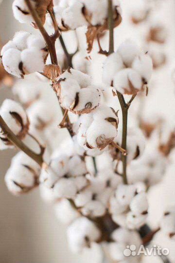 Мусульманское платье двойное