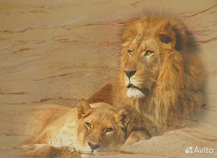 Фотообои и фрески на заказ. Основа - гибкий мрамор