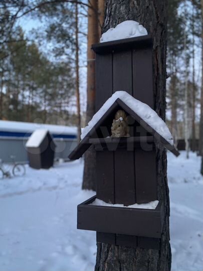 Дом 55 м² на участке 20 сот.