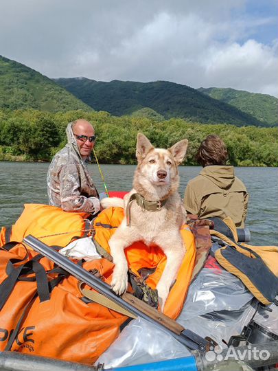 Рыбалка на Камчатке