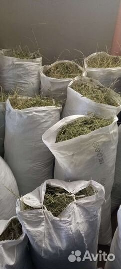 Сено в мешках и в упаковках