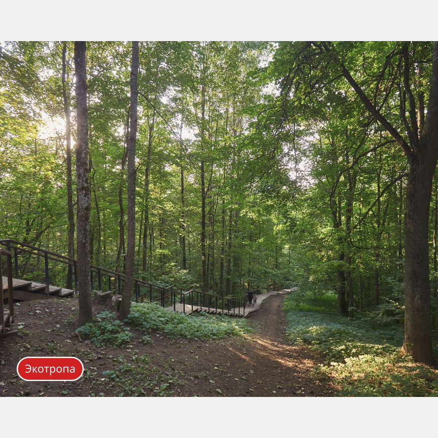 2-к. квартира, 48,1 м², 4/9 эт.