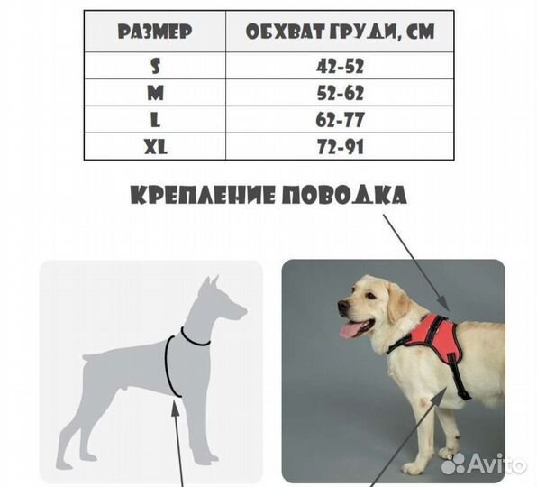 Шлейка для собаки L