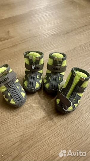 Ботинки для маленьких собак