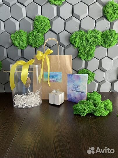 Тропические бабочки