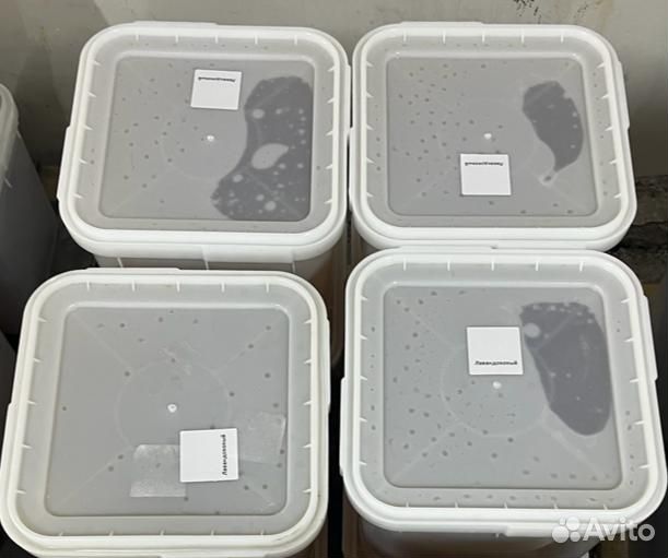 Гречишный свежий мед оптом