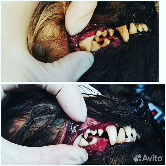 Чистка зубов ультразвуком, со шлиф. Без наркоза