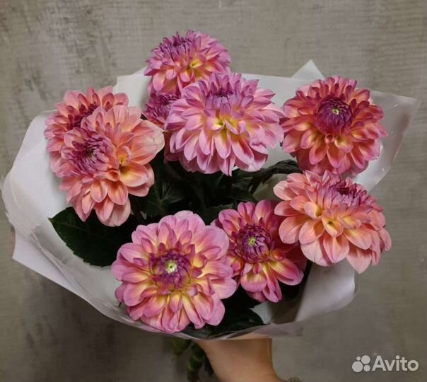 Цветы с грядки на 1 сентября и для украшения дома