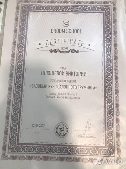 Стрижка собак