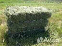 Сено - солома