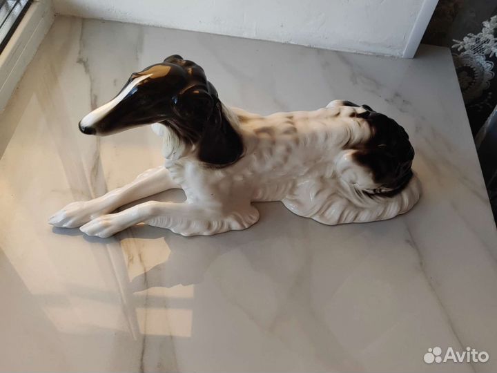 Гончая 1950г Германия