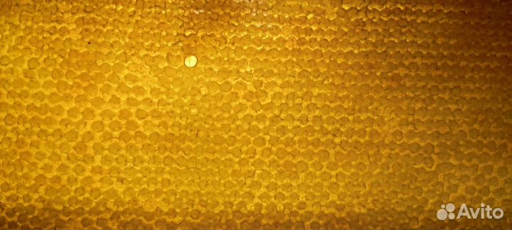 Мед с пасеки Булатовых