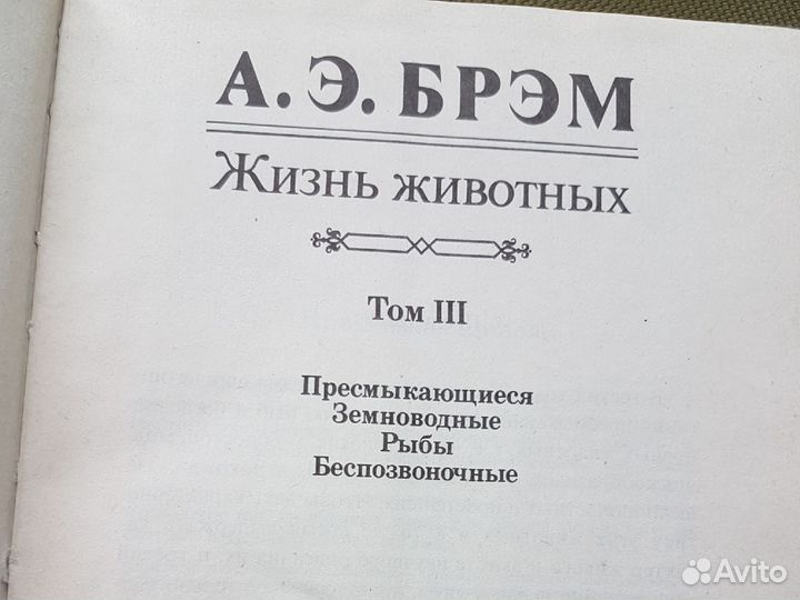 Энциклопедия. Брэм. Жизнь животных 3 тома