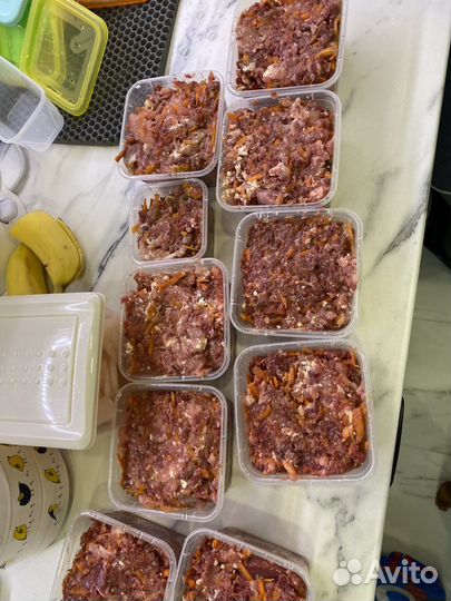 Питание для котов, мясо на месяц