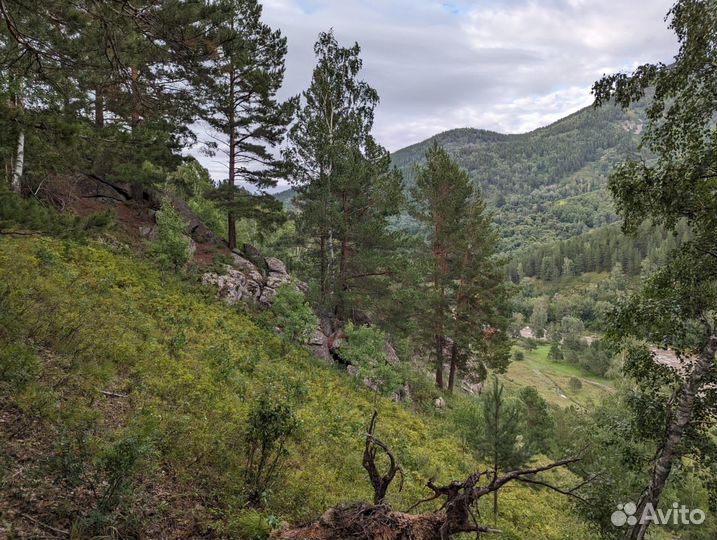 Индивидуальные туры Алтай