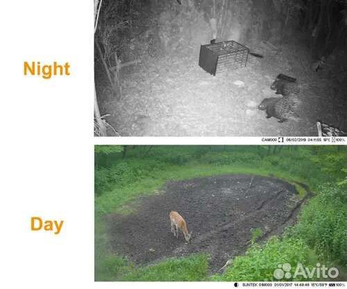 Фотоловушка HC-802A