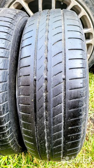 Pirelli Cinturato P1 175/70 R14