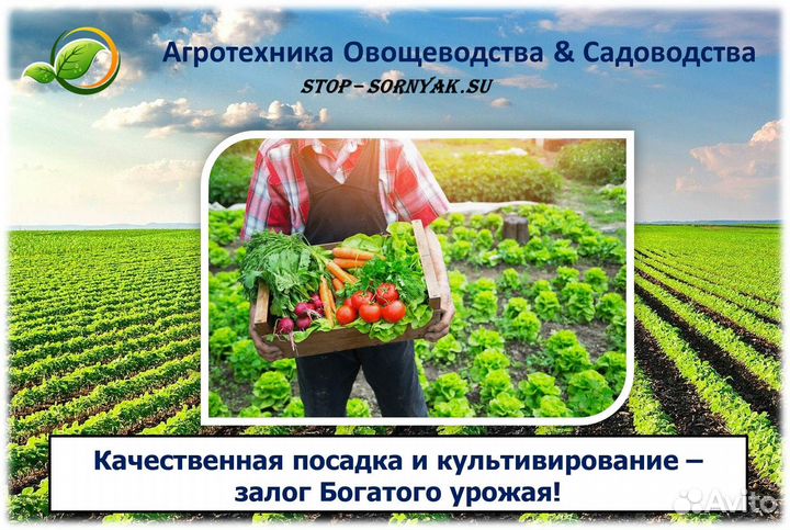 Секция для прополки капусты, свеклы, тыквы, овощей