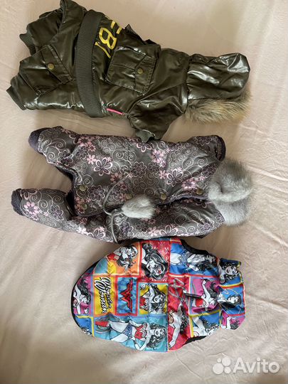 Одежда и сумка для маленькой собаки 2-3 кг