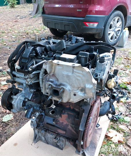 Двигатель Ford Ecosport 1.0 USA
