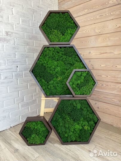 Соты из стабилизированного мха