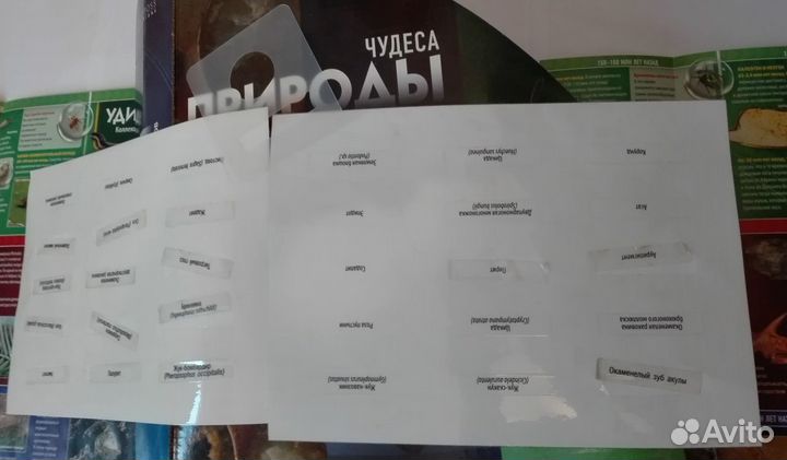 Подставка для сфер и журналов Чудеса природы