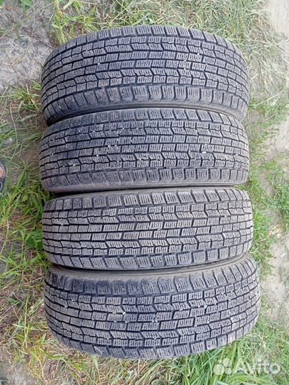 Goodyear Ice Navi Zea 175/70 R14