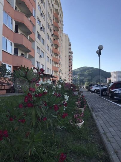 1-к. квартира, 34 м², 4/12 эт.