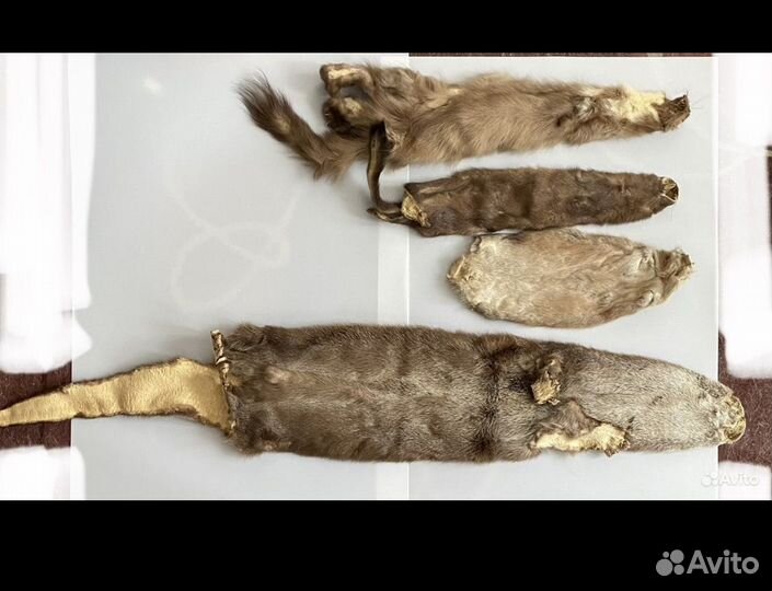 Воротник из енота Шкурки чулком выделанные