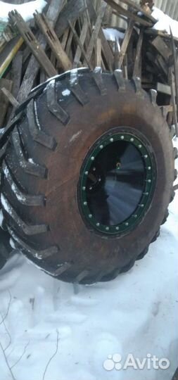 Ободрыши и диски