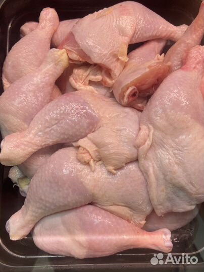 Курица опт