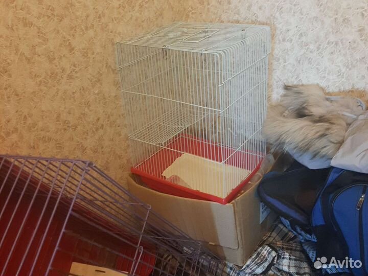 Клетка для грызунов бу