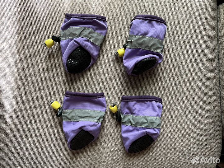 Ботинки для собаки