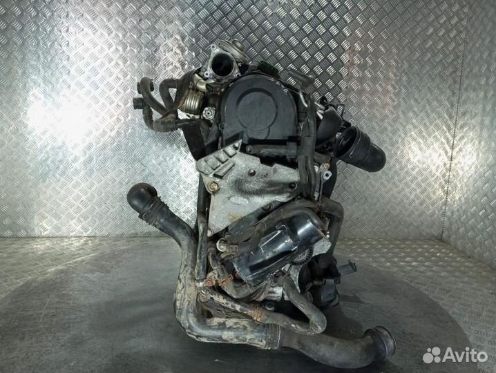 Двигатель BXE Volkswagen Golf 5 1.9 Дизель