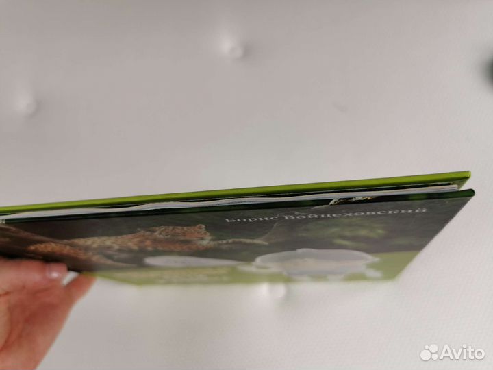 Необыкновенные приключения Пети в Африке