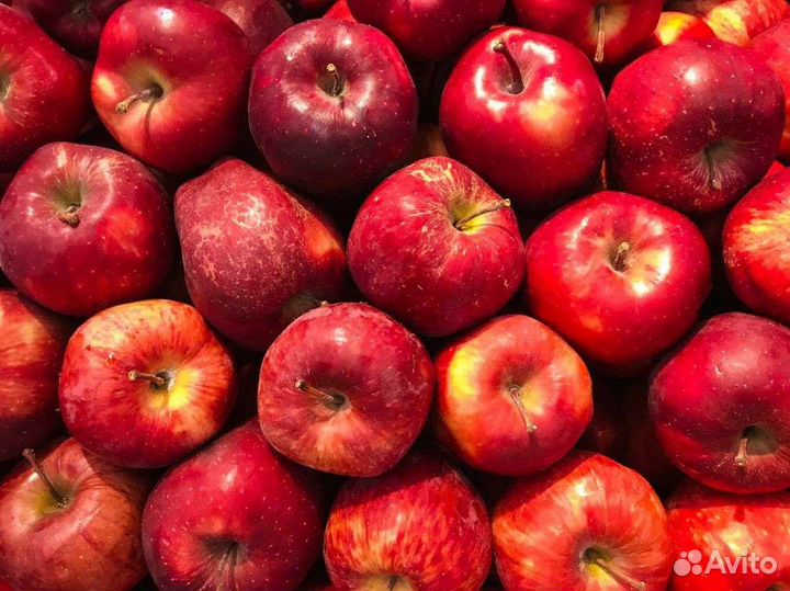 Яблоки