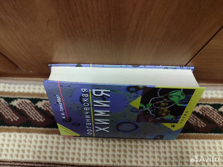 И.И. Грандберг - Органическая химия