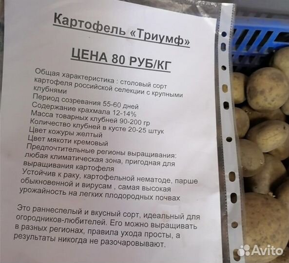 Продам картофель домашний