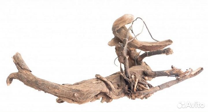 Deco nature wood tropical L - Натуральная коряга т