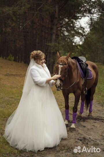 Свадебный фотограф