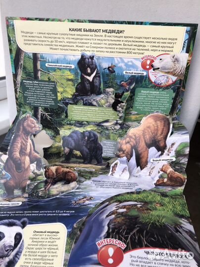 Книжки для детей объемные
