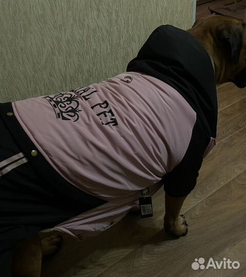Куртка доя больших собак