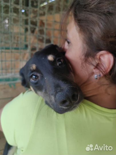 Знакомьтесь- Бонд, Джеймс Бонд