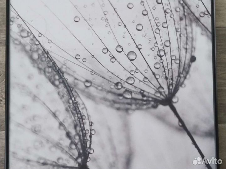 Плакат постер черно-белый рамка черная картина