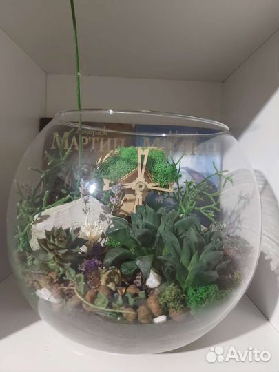Флорариум