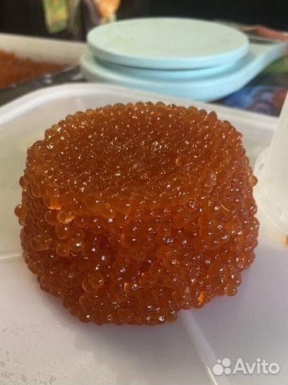 Красная икра